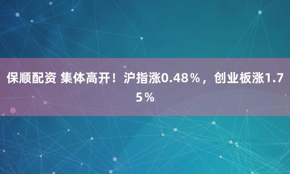 保顺配资 集体高开！沪指涨0.48％，创业板涨1.75％