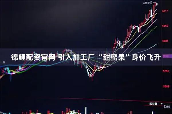 锦鲤配资官网 引入加工厂 “甜蜜果”身价飞升