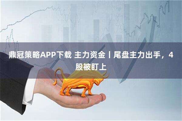 鼎冠策略APP下载 主力资金丨尾盘主力出手，4股被盯上