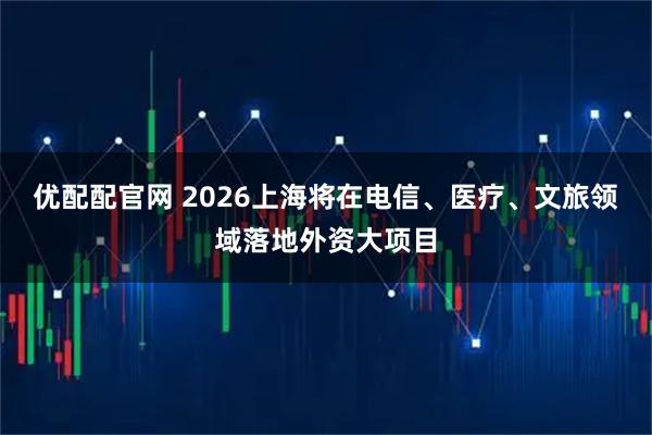 优配配官网 2026上海将在电信、医疗、文旅领域落地外资大项目